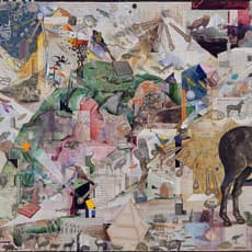Josh Dorman