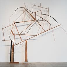 Adriane Colburn