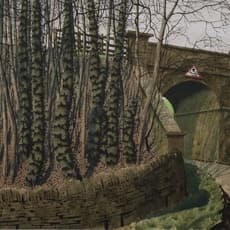 Simon Palmer