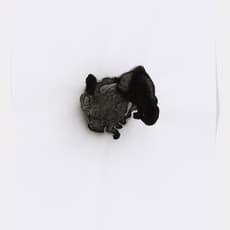 Monica Bonvicini