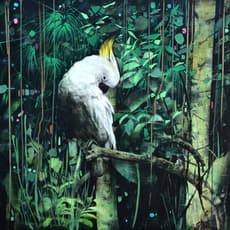 David Morago