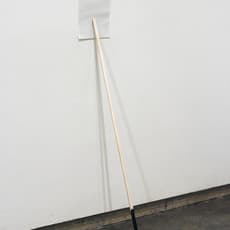 Ana Bidart