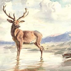 Raymond Sheppard