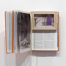 Jill Magid