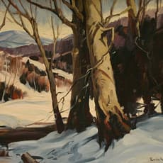 Emile Albert Gruppe
