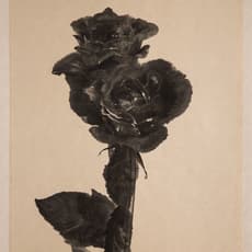 Naoto Nakagawa