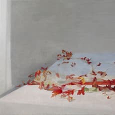 Charlotte Verity