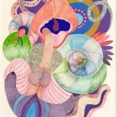 Dee Shapiro