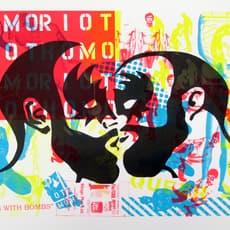 HOMO RIOT