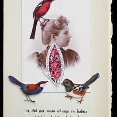 Hope Kroll