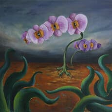 CHEN Shaorong