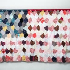 DeAnna Gibbons