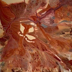 Janice Stanley