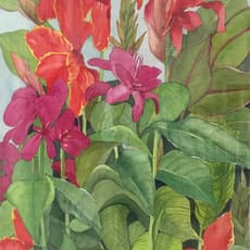 Meriel Cooper