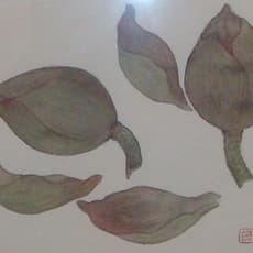 CHAMELI RAMACHANDRAN