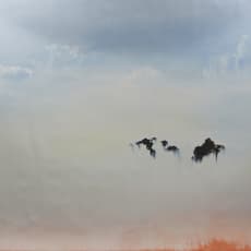 Elizabet Cerviño