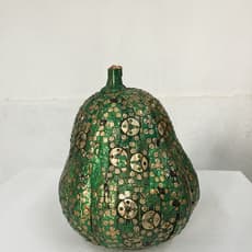 Yang Guang 杨光