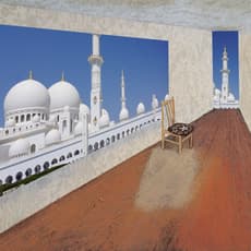 Moha Ahn