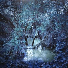Sun Jung Lee