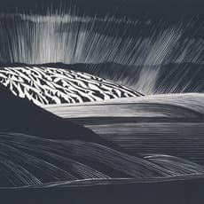 Paul Landacre