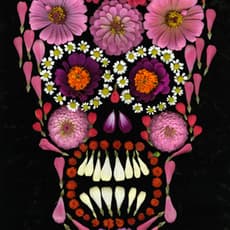 Portia Munson