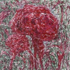 Jiwon Kim