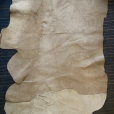 Rosalee Bernabe