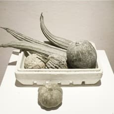 Sze-Fong Kwan