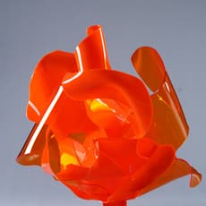 Carola Orieta- Sperman