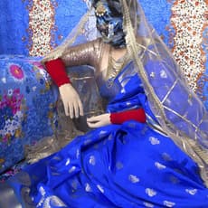 Habiba Nowrose