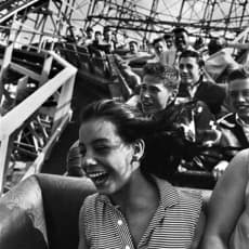 Harold Feinstein