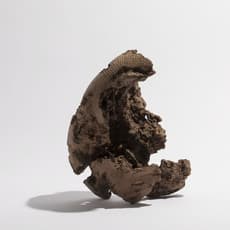 Hiroto Nakanishi