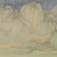 Wu Qiang