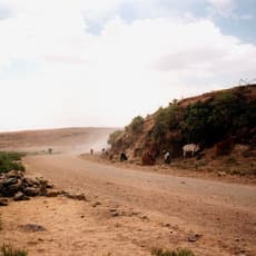 Richard Billingham