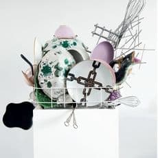 Nicole Wermers