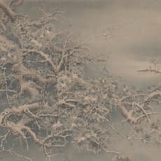 Ren Zhong