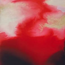 Suzan Woodruff