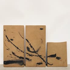 Julie Koldby