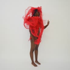 Duduza Mchunu