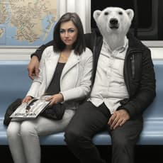 Matthew Grabelsky