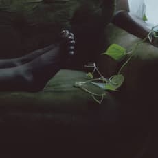 Avion Pearce