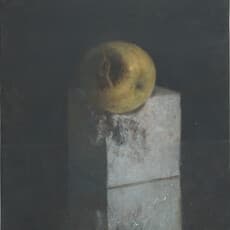 Daichi Igarashi