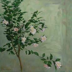 Szeto Lap
