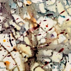 Marcel Barbeau