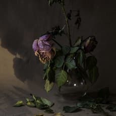 Wang Ruonan