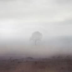 Ebru Ceylan