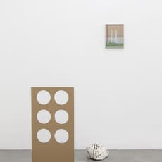 Alice Ronchi