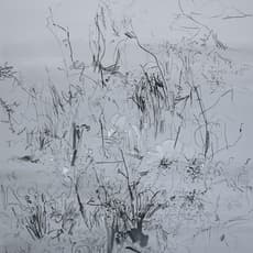 Cha Myung Hi