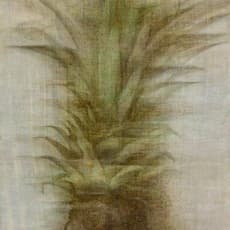 CHEN Meng-Tze