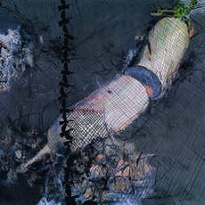 Zhang Hui (b. 1967)